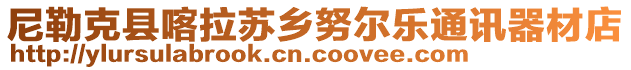 尼勒克縣喀拉蘇鄉(xiāng)努爾樂通訊器材店