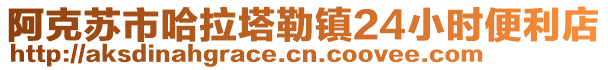 阿克蘇市哈拉塔勒鎮(zhèn)24小時便利店