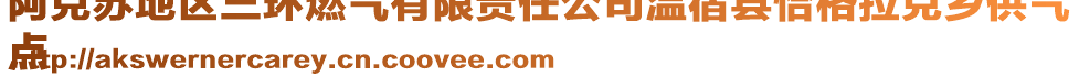 阿克蘇地區(qū)三環(huán)燃?xì)庥邢挢?zé)任公司溫宿縣恰格拉克鄉(xiāng)供氣
點(diǎn)