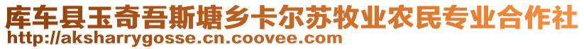 库车县玉奇吾斯塘乡卡尔苏牧业农民专业合作社