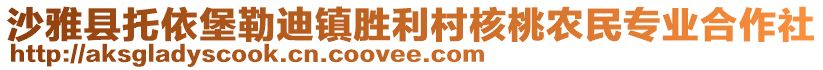 沙雅縣托依堡勒迪鎮(zhèn)勝利村核桃農(nóng)民專業(yè)合作社