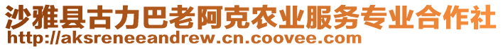 沙雅縣古力巴老阿克農(nóng)業(yè)服務(wù)專業(yè)合作社