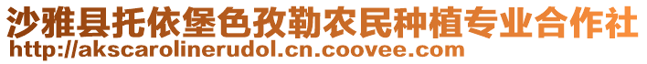 沙雅縣托依堡色孜勒農民種植專業(yè)合作社