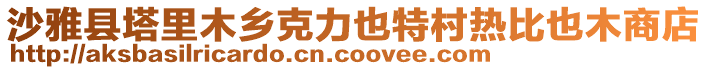 沙雅縣塔里木鄉(xiāng)克力也特村熱比也木商店