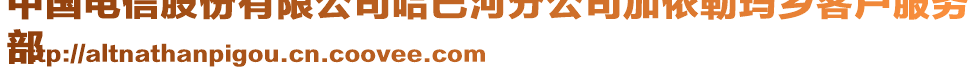 中國電信股份有限公司哈巴河分公司加依勒瑪鄉(xiāng)客戶服務(wù)
部