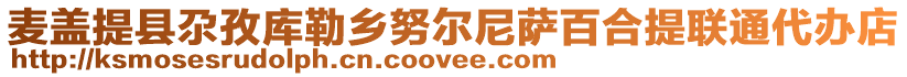 麥蓋提縣尕孜庫勒鄉(xiāng)努爾尼薩百合提聯(lián)通代辦店