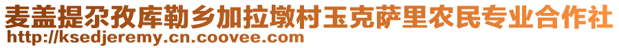 麥蓋提尕孜庫勒鄉(xiāng)加拉墩村玉克薩里農(nóng)民專業(yè)合作社