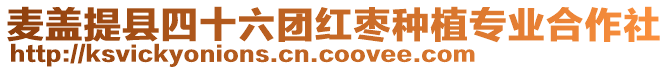 麥蓋提縣四十六團紅棗種植專業(yè)合作社