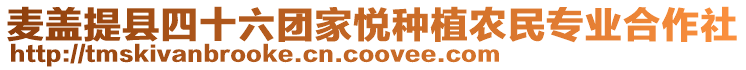 麥蓋提縣四十六團家悅種植農(nóng)民專業(yè)合作社