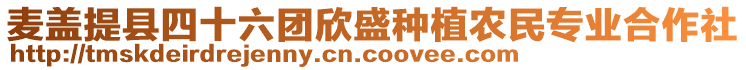 麥蓋提縣四十六團欣盛種植農(nóng)民專業(yè)合作社