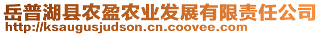 岳普湖縣農(nóng)盈農(nóng)業(yè)發(fā)展有限責(zé)任公司