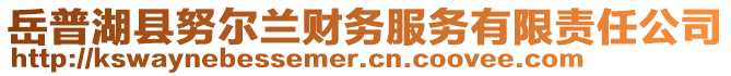 岳普湖县努尔兰财务服务有限责任公司