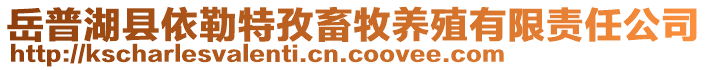 岳普湖縣依勒特孜畜牧養(yǎng)殖有限責(zé)任公司