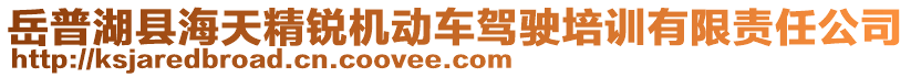 岳普湖縣海天精銳機動車駕駛培訓有限責任公司