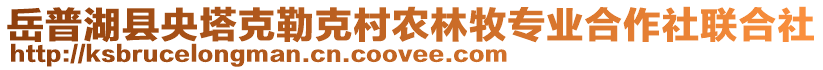 岳普湖縣央塔克勒克村農(nóng)林牧專業(yè)合作社聯(lián)合社