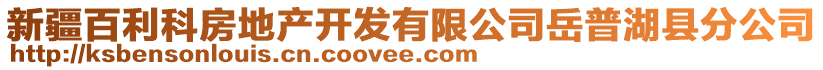 新疆百利科房地產(chǎn)開發(fā)有限公司岳普湖縣分公司