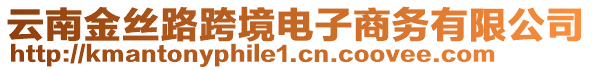 云南金丝路跨境电子商务有限公司