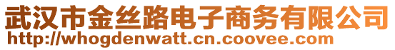 武漢市金絲路電子商務(wù)有限公司