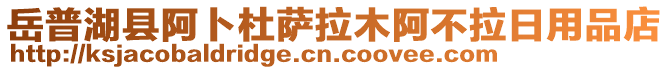 岳普湖縣阿卜杜薩拉木阿不拉日用品店