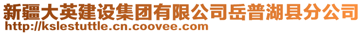 新疆大英建設集團有限公司岳普湖縣分公司