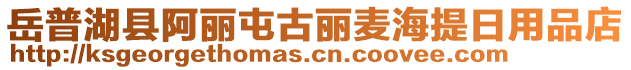 岳普湖縣阿麗屯古麗麥海提日用品店