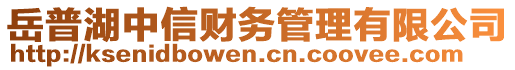 岳普湖中信財(cái)務(wù)管理有限公司