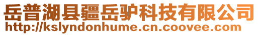 岳普湖縣疆岳驢科技有限公司