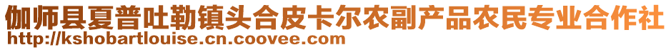 伽师县夏普吐勒镇头合皮卡尔农副产品农民专业合作社