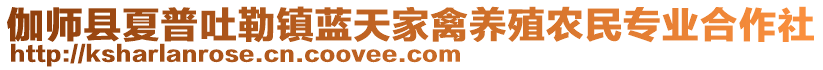 伽師縣夏普吐勒鎮(zhèn)藍(lán)天家禽養(yǎng)殖農(nóng)民專業(yè)合作社