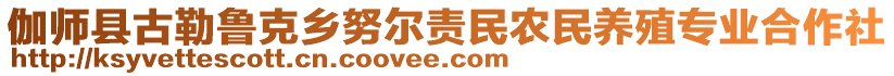 伽師縣古勒魯克鄉(xiāng)努爾責(zé)民農(nóng)民養(yǎng)殖專業(yè)合作社