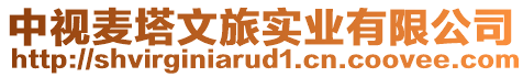 中視麥塔文旅實(shí)業(yè)有限公司