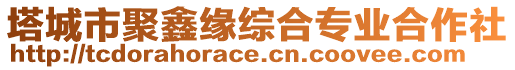 塔城市聚鑫缘综合专业合作社