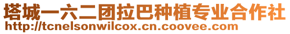 塔城一六二團(tuán)拉巴種植專業(yè)合作社