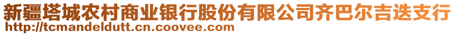 新疆塔城农村商业银行股份有限公司齐巴尔吉迭支行