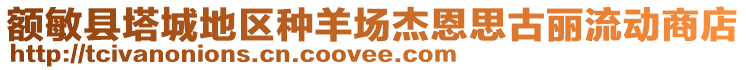 額敏縣塔城地區(qū)種羊場杰恩思古麗流動商店