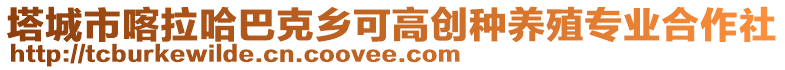 塔城市喀拉哈巴克鄉(xiāng)可高創(chuàng)種養(yǎng)殖專業(yè)合作社