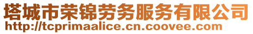 塔城市榮錦勞務(wù)服務(wù)有限公司