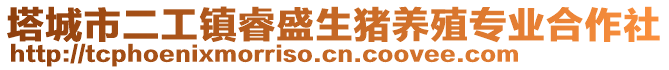 塔城市二工鎮(zhèn)睿盛生豬養(yǎng)殖專(zhuān)業(yè)合作社