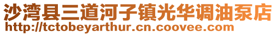 沙灣縣三道河子鎮(zhèn)光華調(diào)油泵店