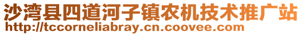 沙灣縣四道河子鎮(zhèn)農(nóng)機技術(shù)推廣站