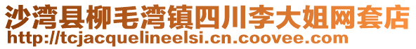 沙灣縣柳毛灣鎮四川李大姐網套店