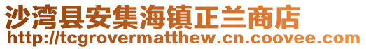 沙灣縣安集海鎮正蘭商店