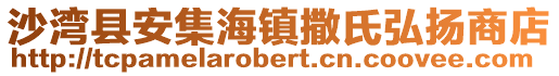 沙灣縣安集海鎮(zhèn)撒氏弘揚商店