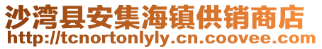 沙灣縣安集海鎮供銷商店