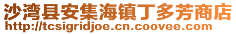 沙灣縣安集海鎮丁多芳商店