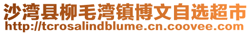 沙灣縣柳毛灣鎮博文自選超市