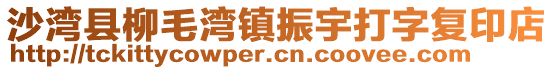 沙灣縣柳毛灣鎮(zhèn)振宇打字復印店