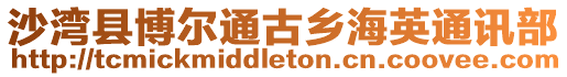 沙灣縣博爾通古鄉海英通訊部