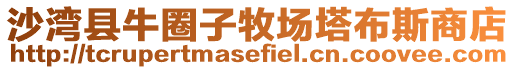 沙灣縣牛圈子牧場(chǎng)塔布斯商店