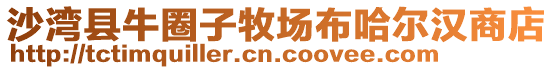 沙灣縣牛圈子牧場布哈爾漢商店